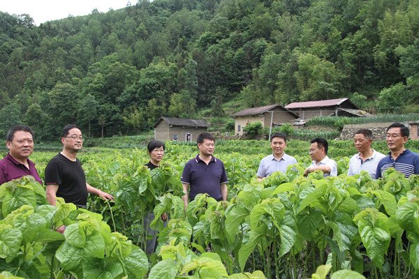 安康市商務(wù)局領(lǐng)導(dǎo)來(lái)我公司調(diào)研春蠶收購(gòu)及扶貧點(diǎn)蠶?；亟ㄔO(shè)情況